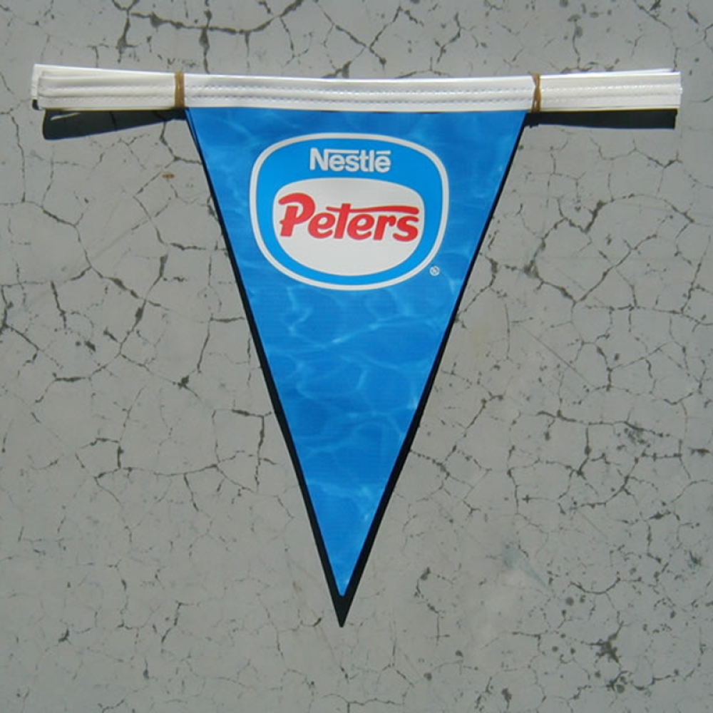 Vinyl Pennant