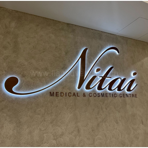 Stainless Steel Fabricated Back-lit Illuminated 3D Letters